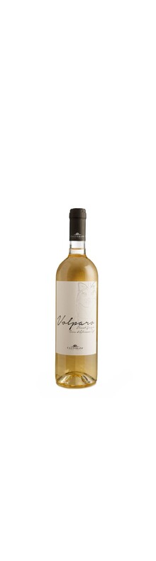 Podere Castorani, Volparo Pinot Grigio, Terre D'abruzzo IGT 2024