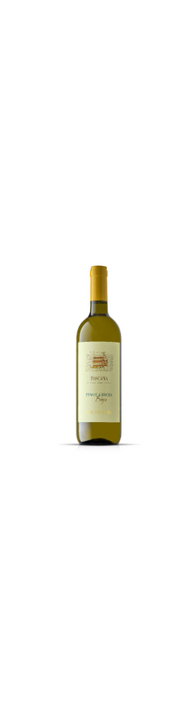 Col d'Orcia, Pinot Grigio Toscana IGT (Bio) 2024