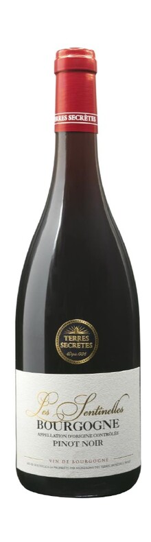 Terres Secr&egrave;tes, Les Sentinelles Pinot Noir, Bourgogne AOC 2022