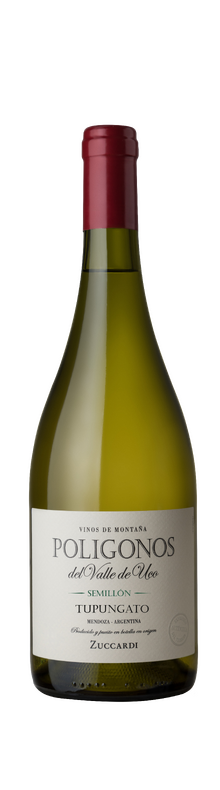 Zuccardi, Poligonos del Valle de Uco, Semillon Valle de Uco IG 2022