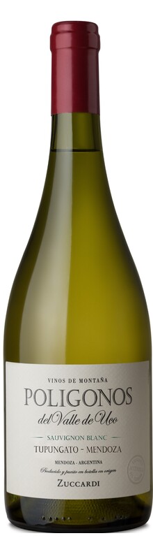 Poligonos Tupungato Sauvignon Blanc 2019